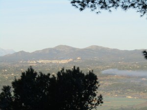 IMG_3708 (Medium)